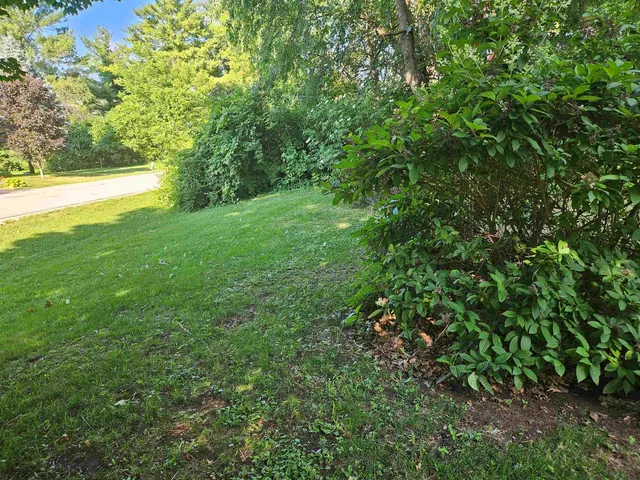 a view of yard with green space