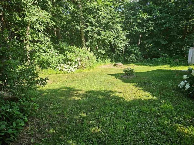 a view of a back yard of the house