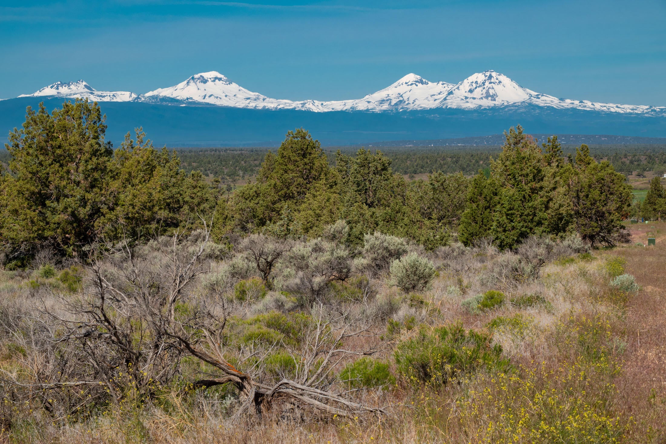 Lot 13 Grandview Road Powell Butte, OR 97753 - Photo 13 of 38 Lot 13 Grand View_0006 copy