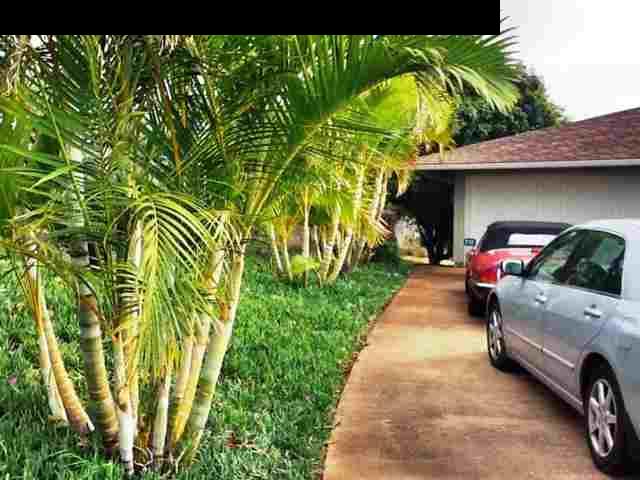 102 Pulehuiki Road Kula, HI 96790 - Photo 3 of 30 Gallery Image 3