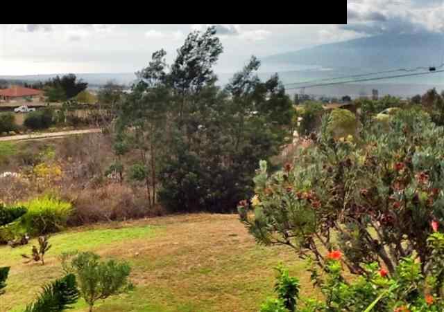 102 Pulehuiki Road Kula, HI 96790 - Photo 4 of 30 Gallery Image 4