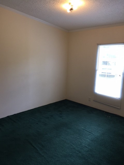 550 Cedar Road Aiken, SC 29803 - Photo 13 of 19