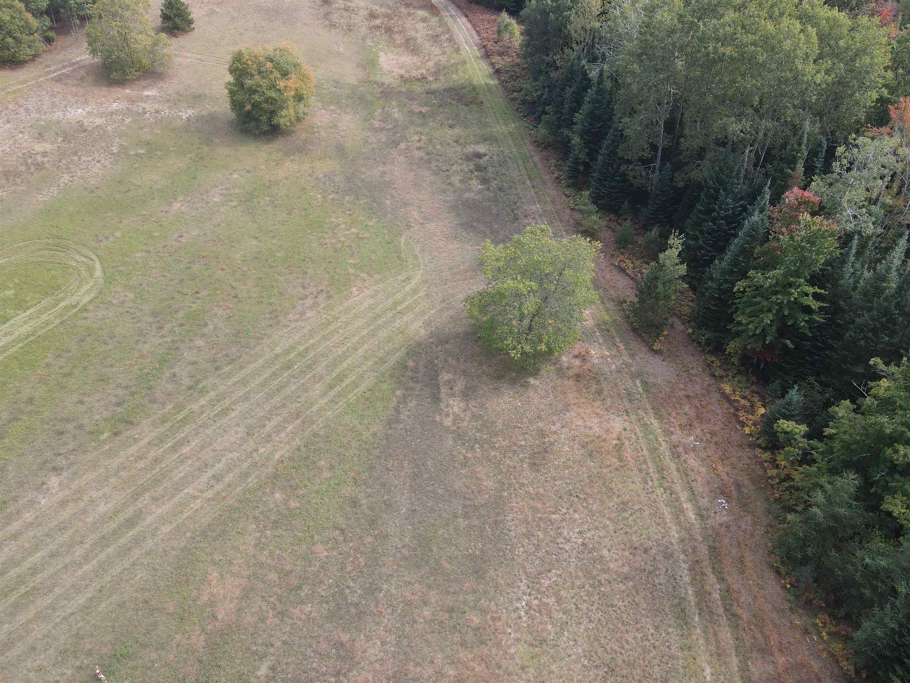 90 A Ridgeview Drive Kalkaska, MI 49646 - Photo 22 of 75
