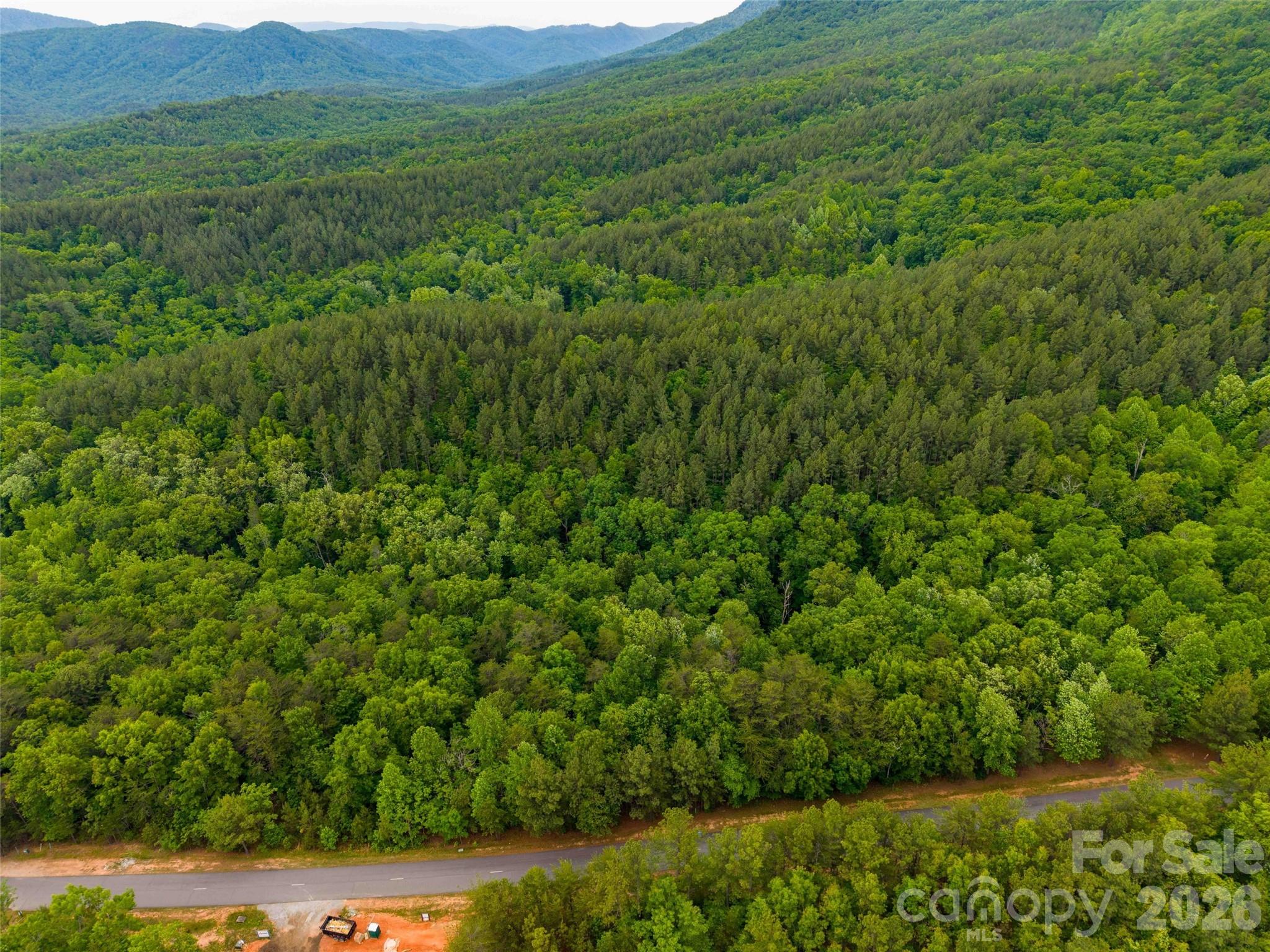 Lot 2009 Deep Gap Farm Rd Mill Spring West Mill Spring, NC 28756 - Photo 8 of 17