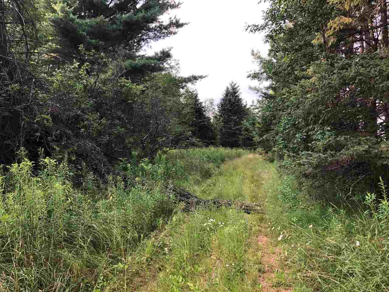 56.17 County Rd L Athens, WI 54411 - Photo 1 of 1