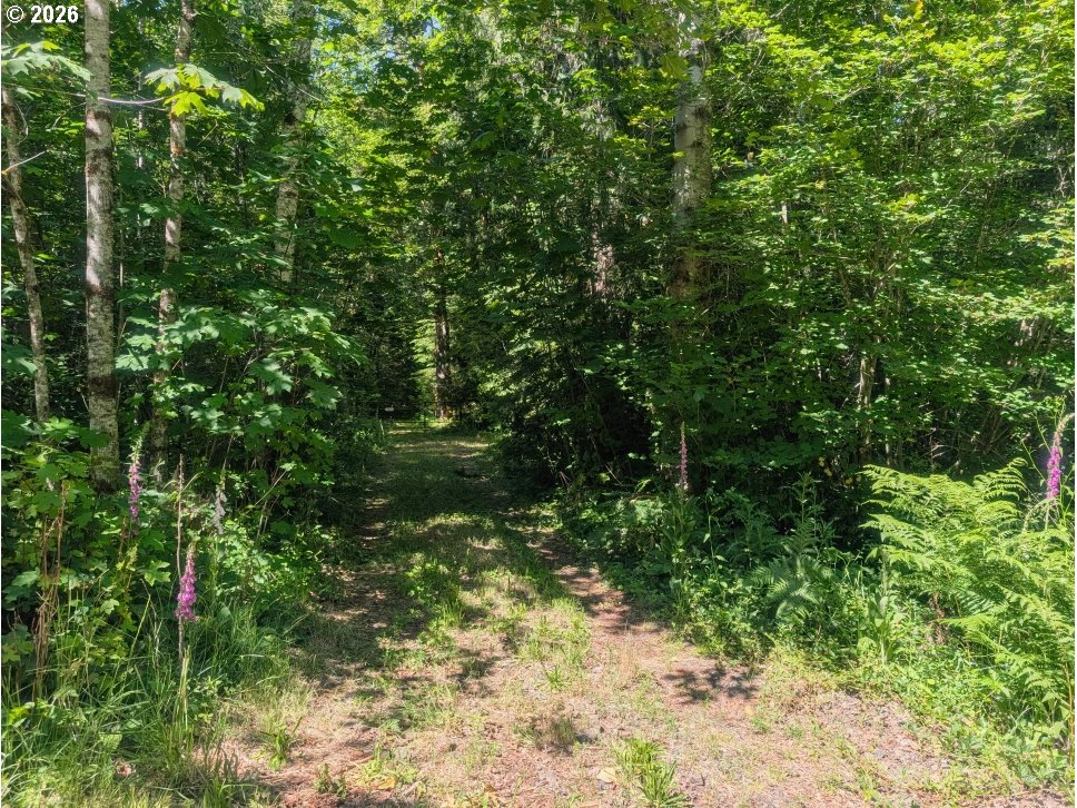 20284 East Carnarvon Road Rhododendron, OR 97049 - Photo 10 of 17