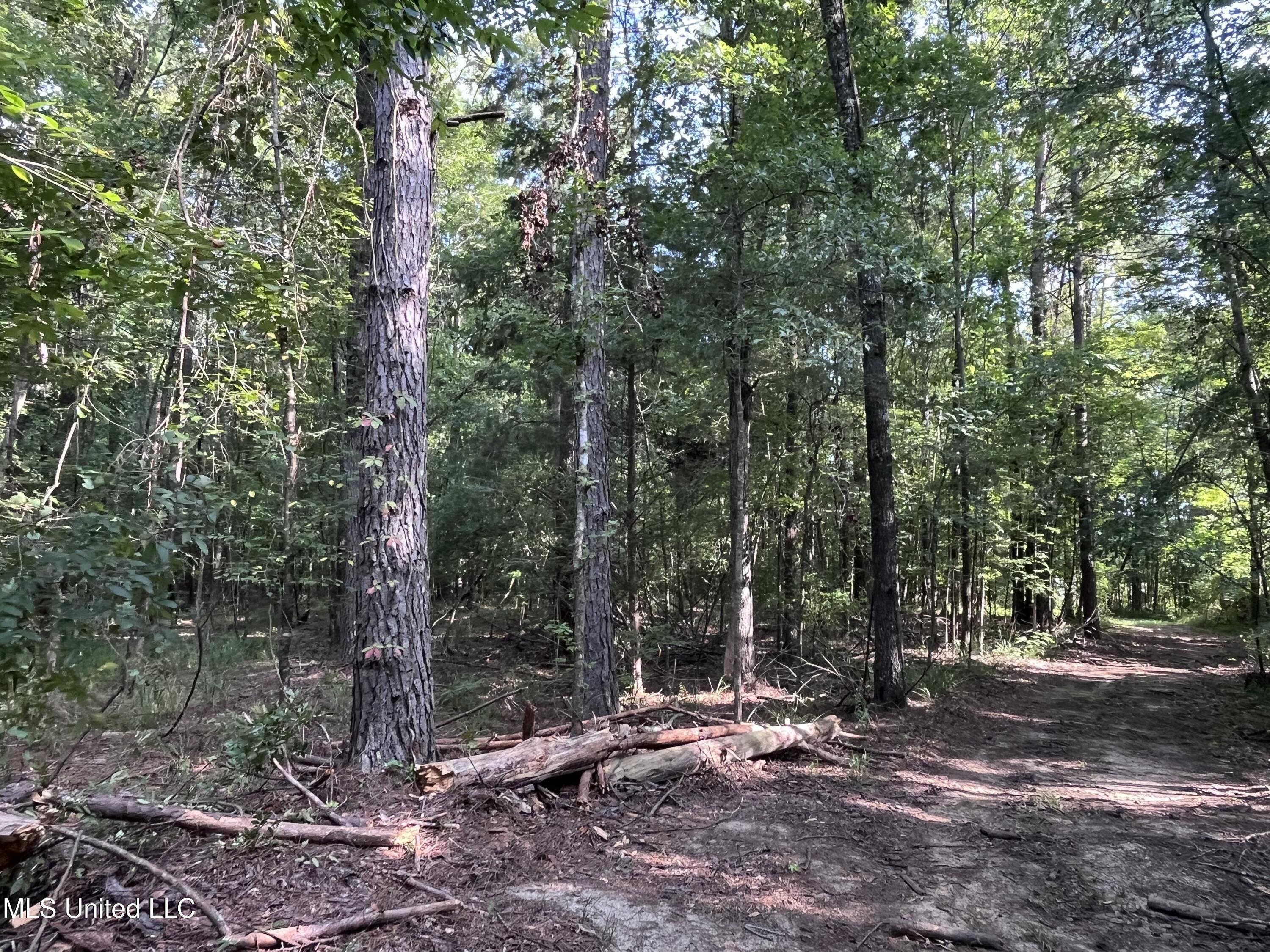 297 Barnes Road Florence, MS 39073 - Photo 139 of 170 IMG_8450