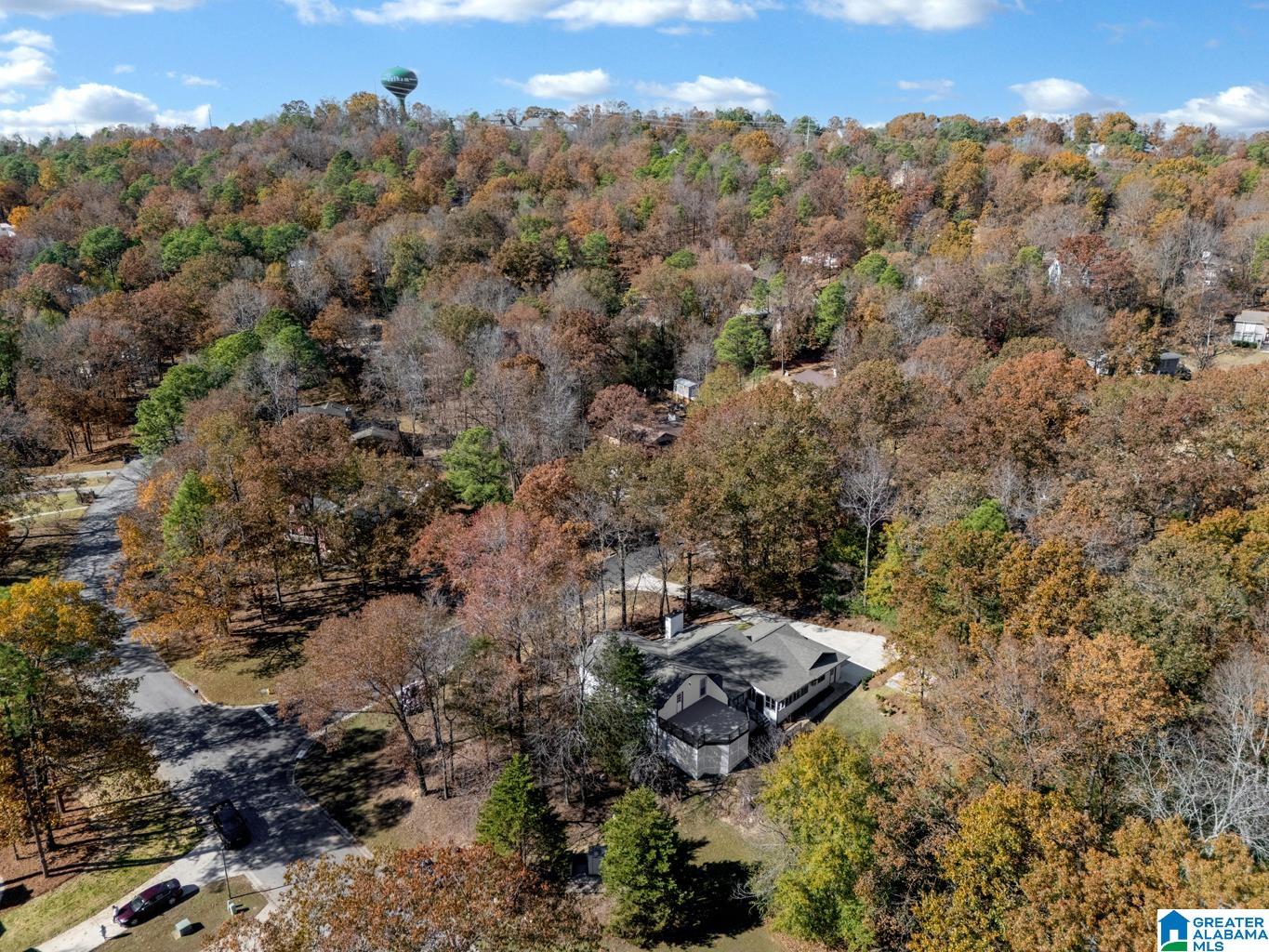 2575 Dalton Drive Pelham, AL 35124 - Photo 66 of 73