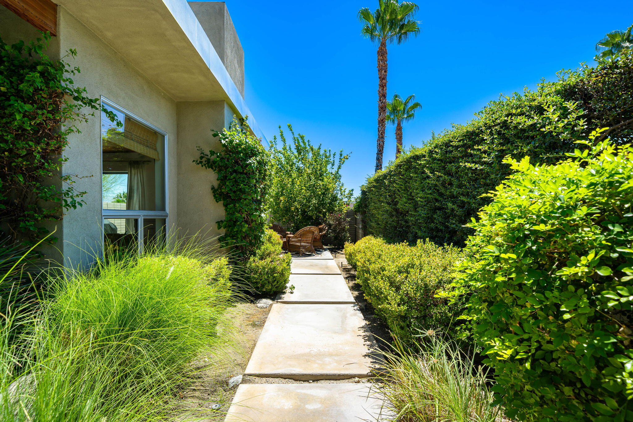 623 Desert Way Palm Springs, CA 92264 - Photo 30 of 39 a view of a pathway of flower plants