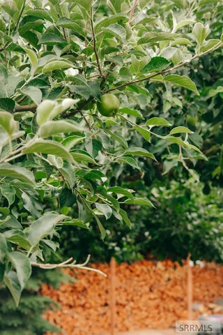 $1,100,000 | 445 Panther Creek Road, Shoup, ID 83469