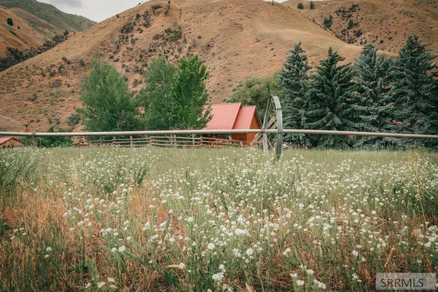 $1,100,000 | 445 Panther Creek Road, Shoup, ID 83469