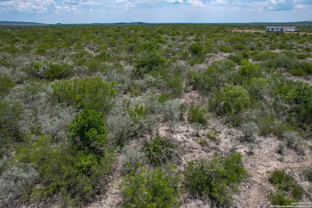 a view of a dry yard with trees