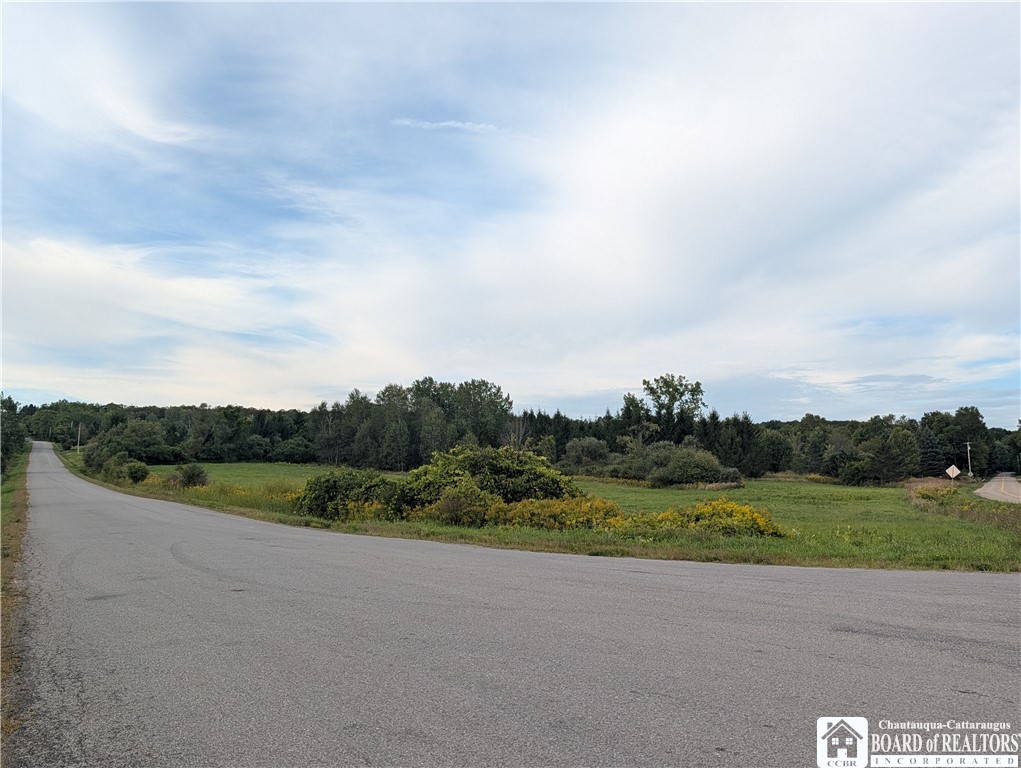 Vl Beech Tree Road West Valley, NY 14171 - Photo 4 of 11 Gallery Image 4