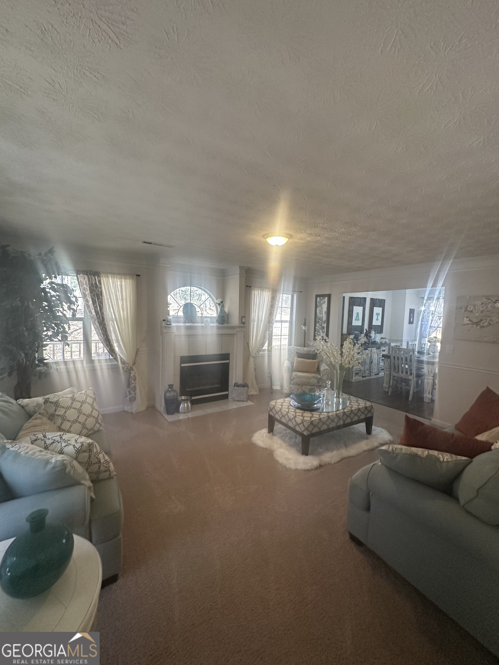 28 Border Point Sharpsburg, GA 30277 - Photo 3 of 49