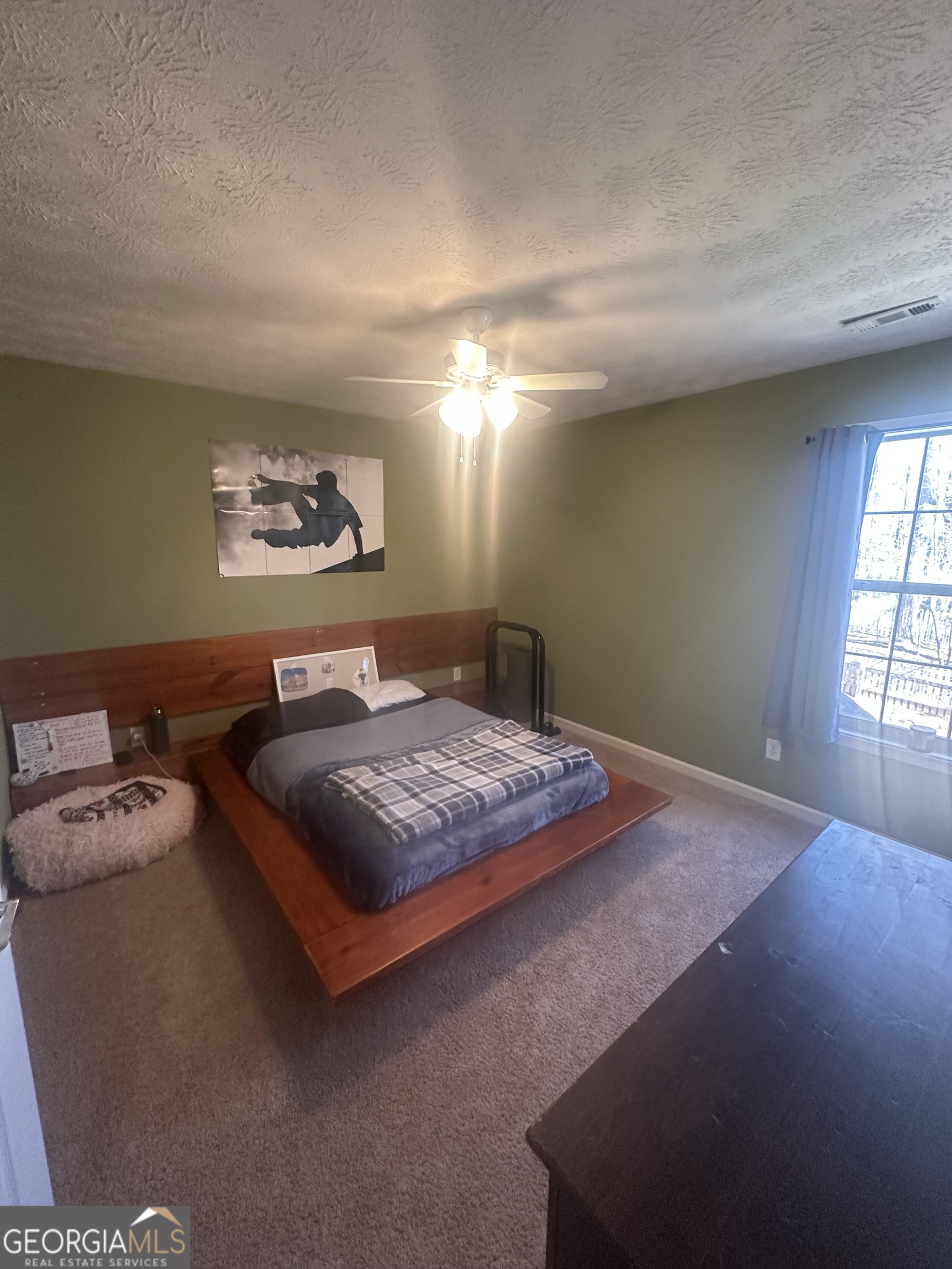 28 Border Point Sharpsburg, GA 30277 - Photo 31 of 49