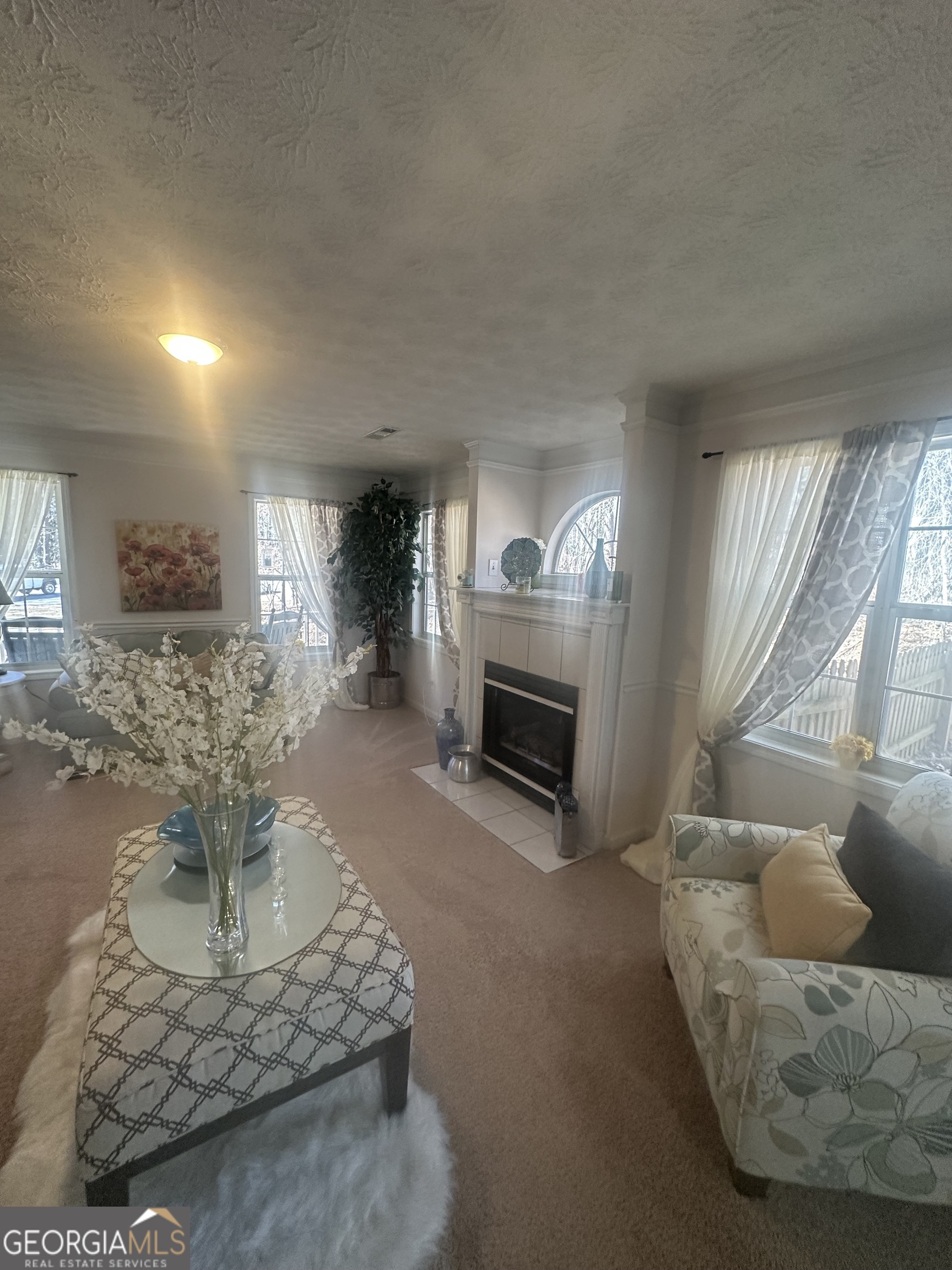 28 Border Point Sharpsburg, GA 30277 - Photo 4 of 49