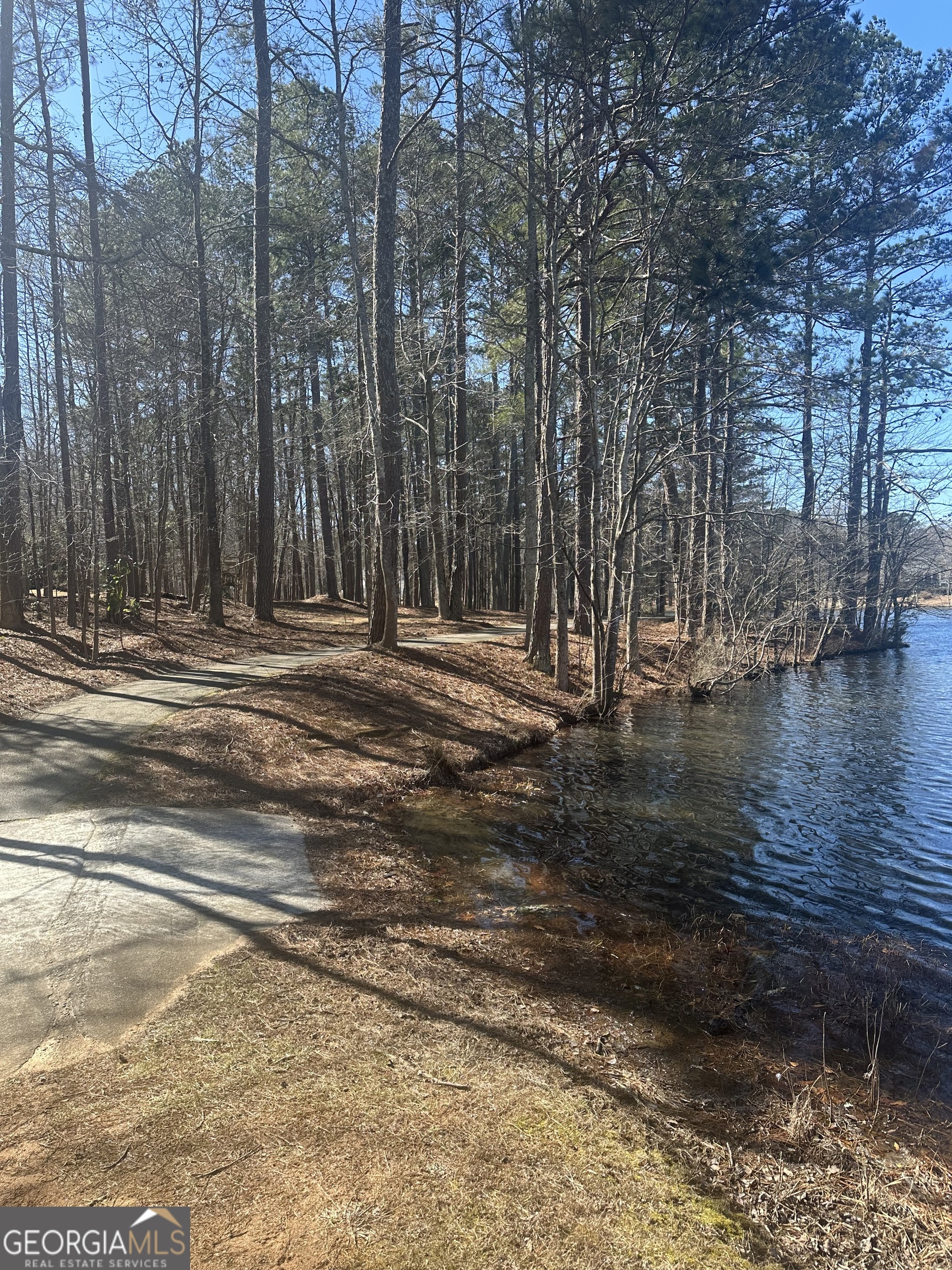 28 Border Point Sharpsburg, GA 30277 - Photo 48 of 49