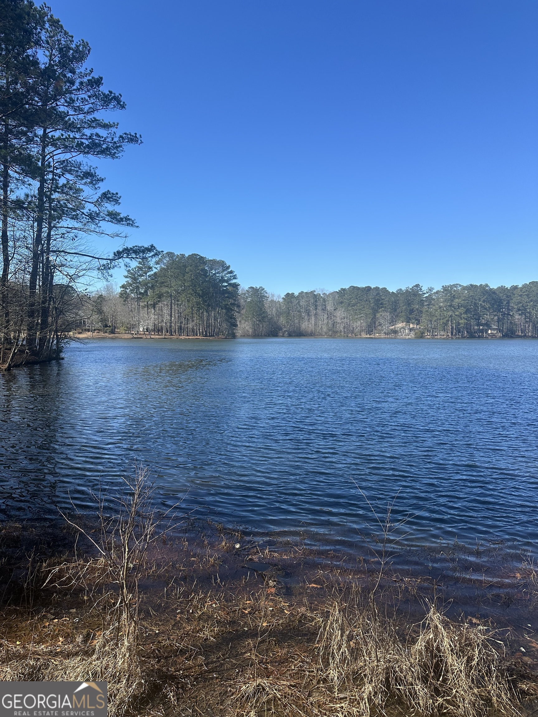 28 Border Point Sharpsburg, GA 30277 - Photo 49 of 49