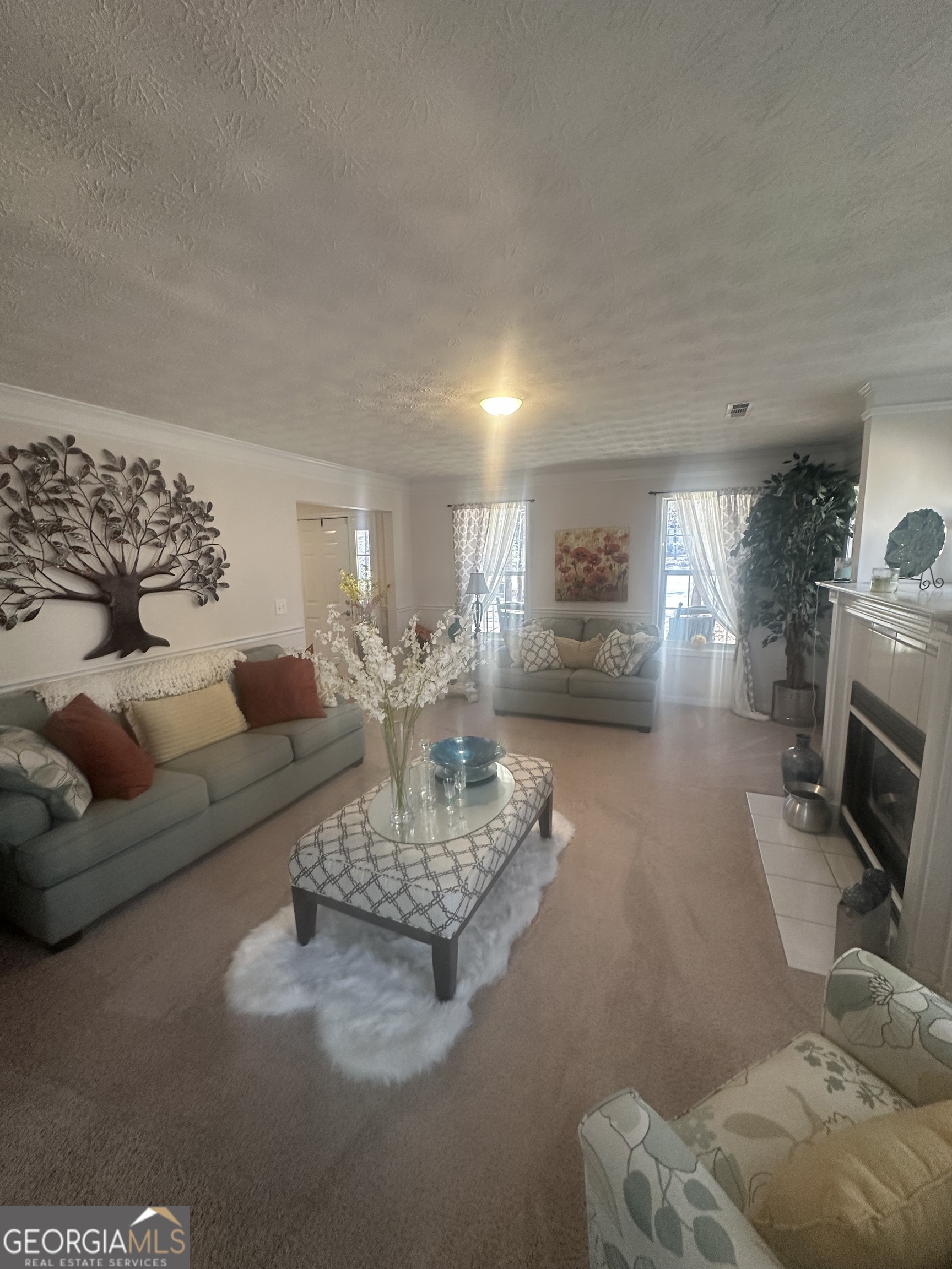 28 Border Point Sharpsburg, GA 30277 - Photo 5 of 49