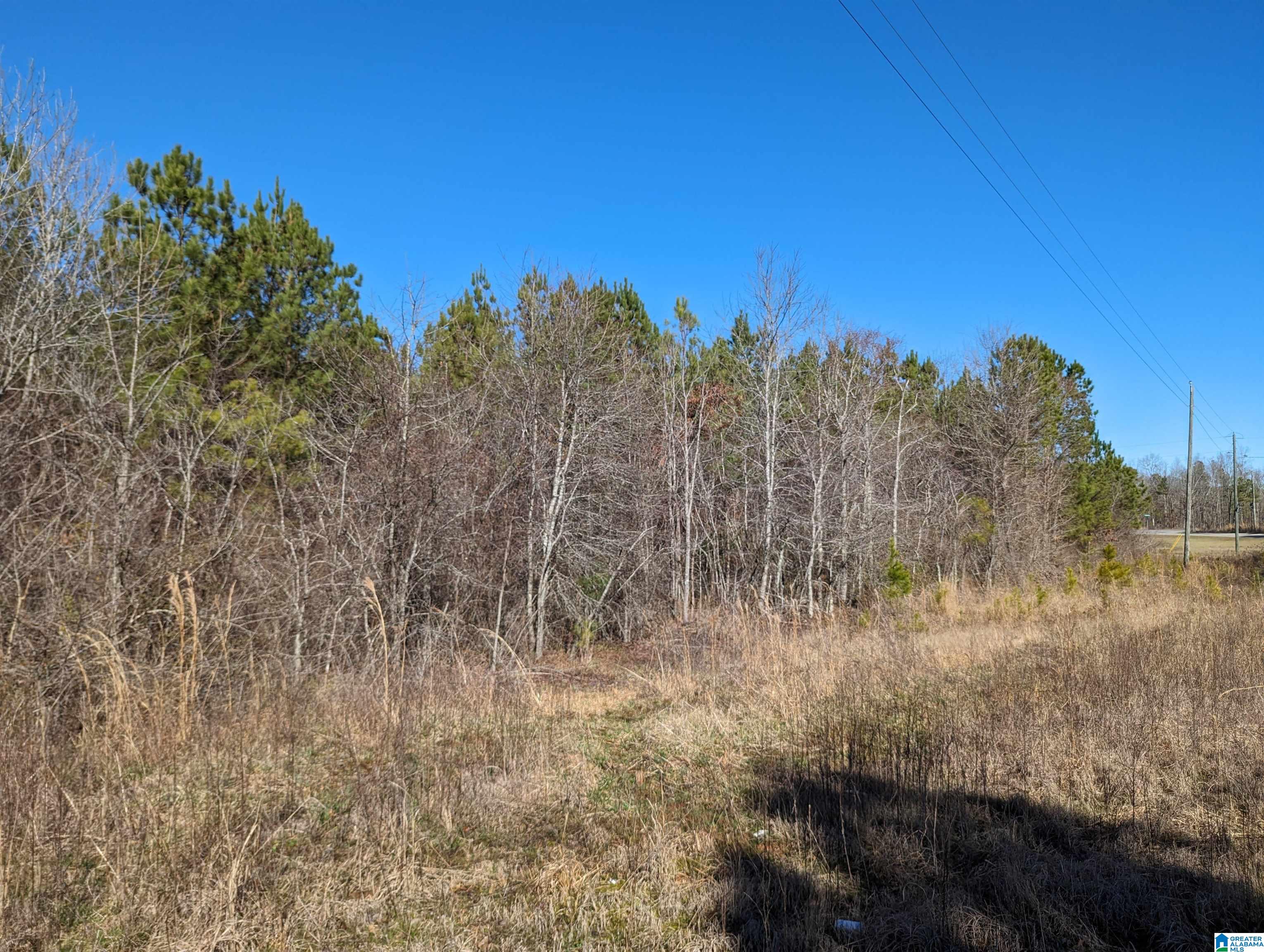 0 Chandler Springs Road Talladega, AL 35160 - Photo 15 of 35