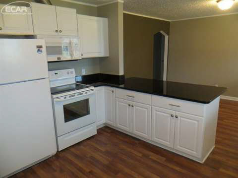 7165 Miller Road Swartz Creek, MI 48473 - Photo 13 of 20 20426760-12.JPG