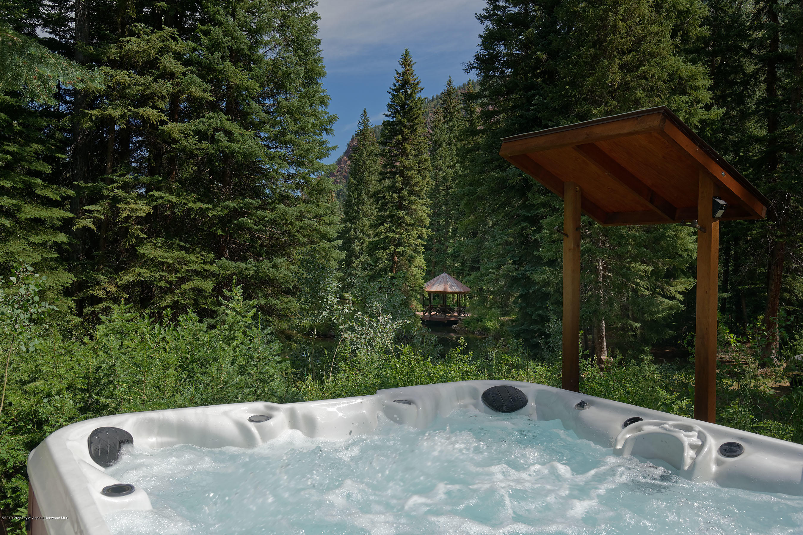 245-289 Conundrum Creek Road Aspen, CO 81611 - Photo 13 of 28 a view of backyard with green space