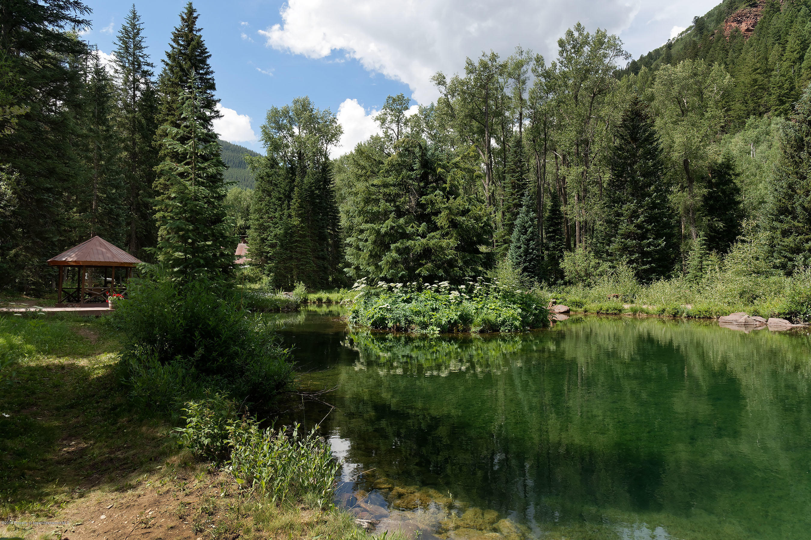 245-289 Conundrum Creek Road Aspen, CO 81611 - Photo 17 of 28 a view of a garden with a lake