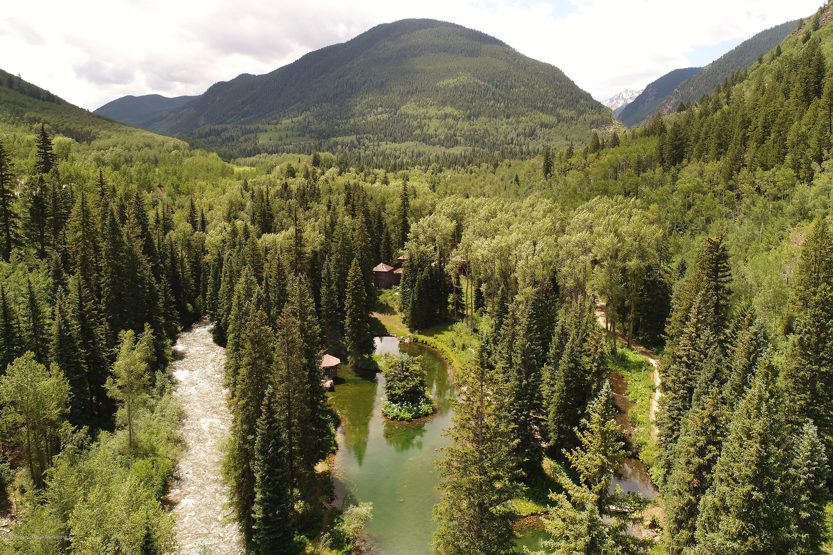 245-289 Conundrum Creek Road Aspen, CO 81611 - Photo 24 of 28 a view of a forest