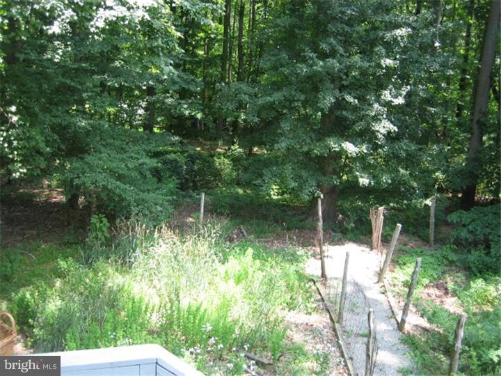 71 Yellow Meetinghouse Road Cream Ridge, NJ 08514 - Photo 11 of 25 Back Yard