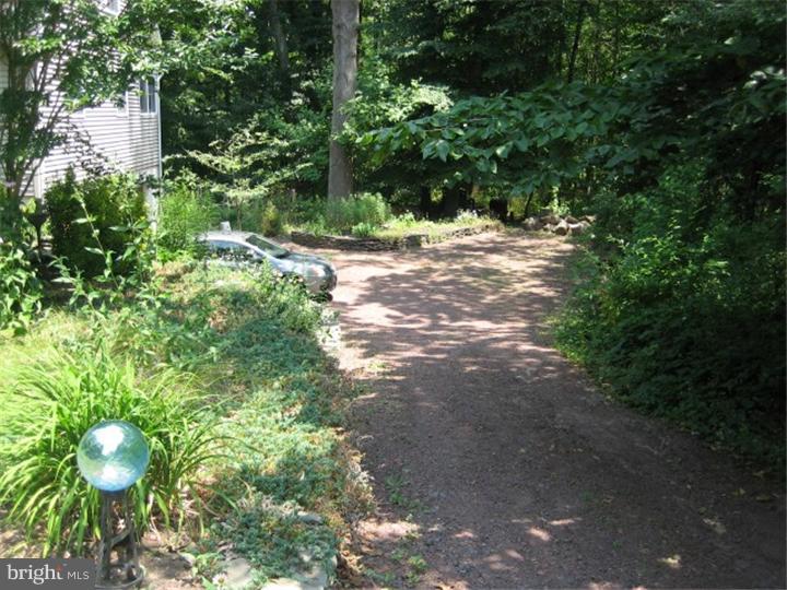 71 Yellow Meetinghouse Road Cream Ridge, NJ 08514 - Photo 21 of 25 Driveway