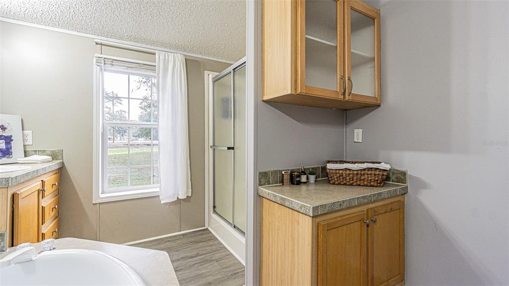 7029 Forbes Road Zephyrhills, FL 33540 - Photo 26 of 53