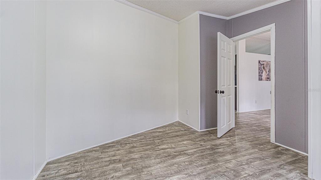 7029 Forbes Road Zephyrhills, FL 33540 - Photo 34 of 53