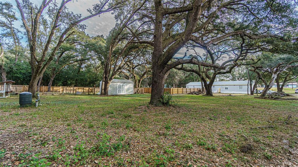 7029 Forbes Road Zephyrhills, FL 33540 - Photo 43 of 53