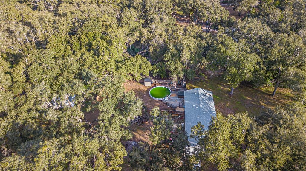 7029 Forbes Road Zephyrhills, FL 33540 - Photo 48 of 53