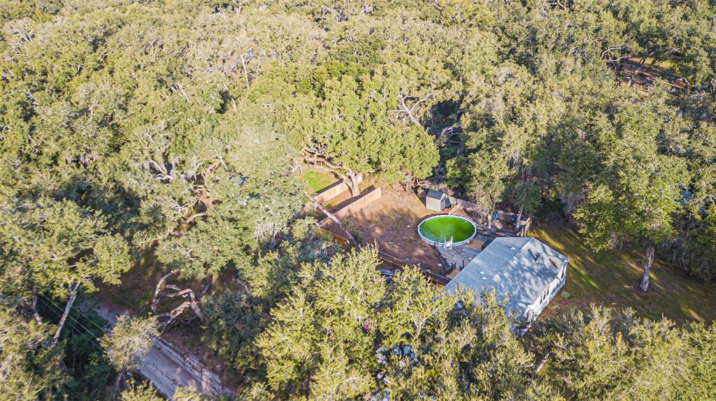 7029 Forbes Road Zephyrhills, FL 33540 - Photo 49 of 53