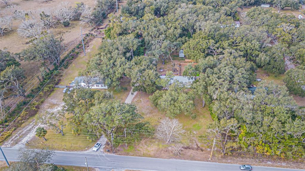 7029 Forbes Road Zephyrhills, FL 33540 - Photo 52 of 53 a view of a yard with plants