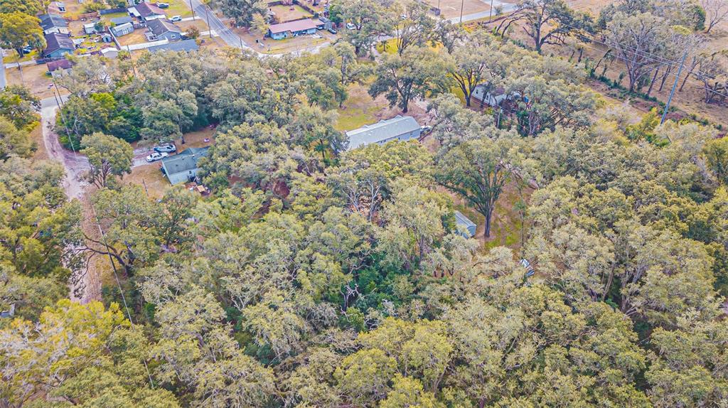 7029 Forbes Road Zephyrhills, FL 33540 - Photo 53 of 53