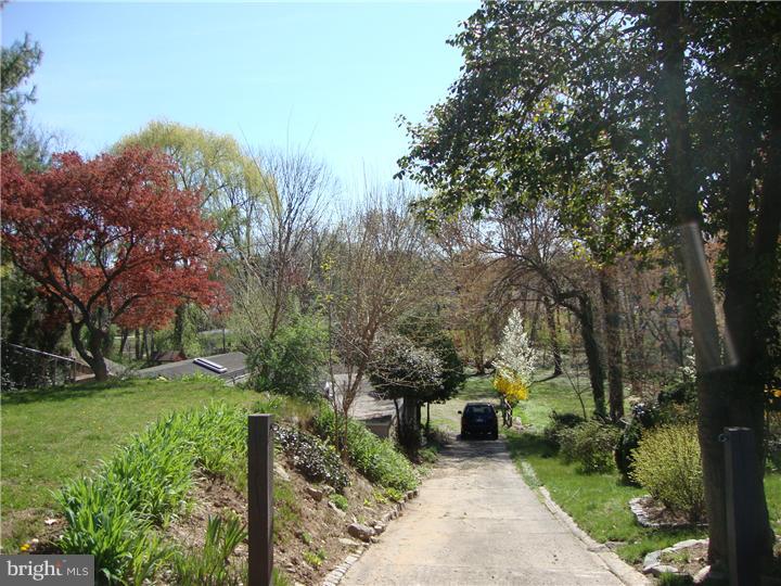 379 Church Road Jenkintown, PA 19046 - Photo 22 of 23 View in Back