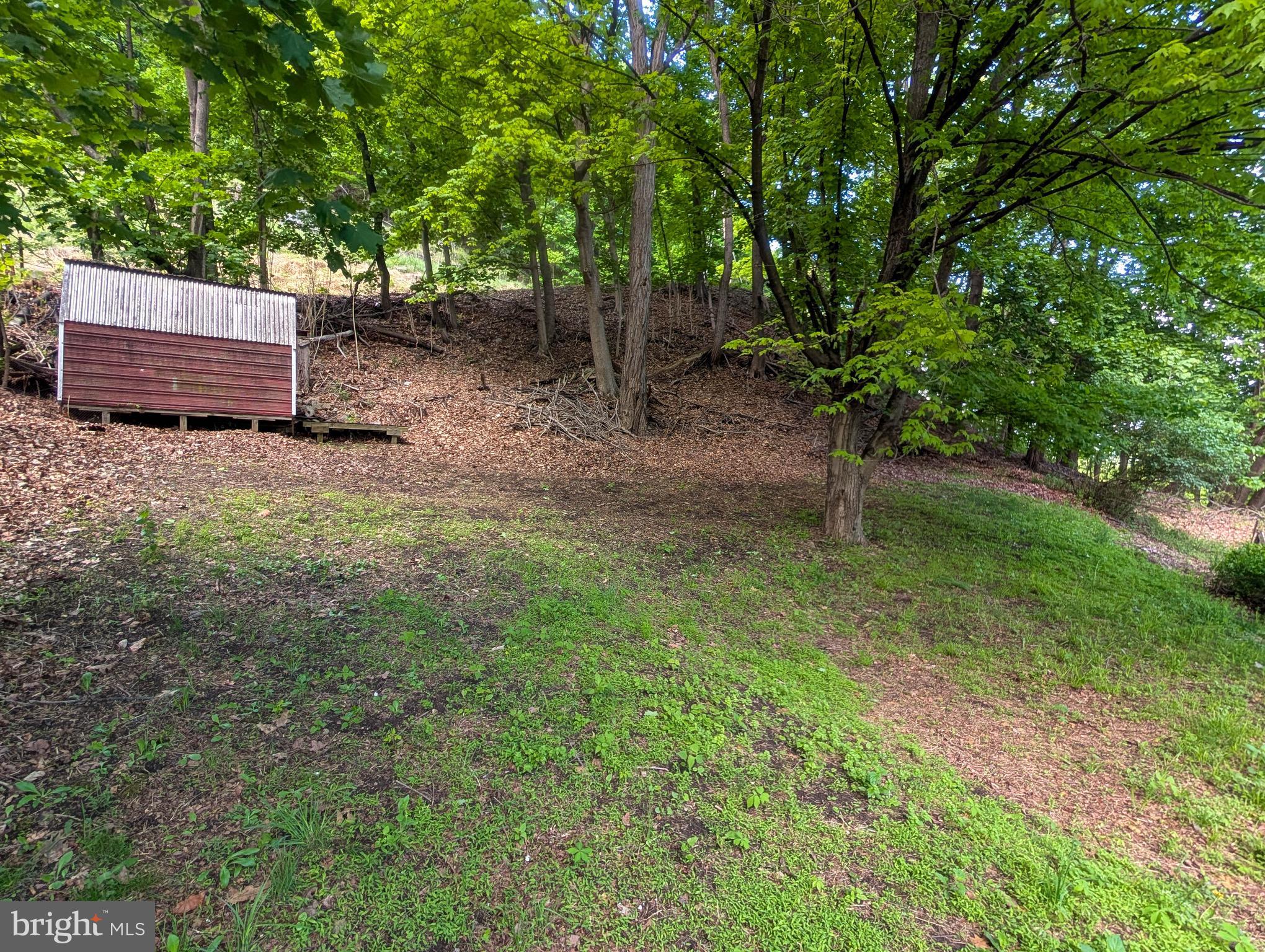 460 Armstrong Street Keyser, WV 26726 - Photo 42 of 51