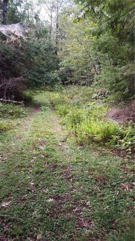 785 River Road Dresden, ME 04342 - Photo 6 of 12 Current road leading to the river.