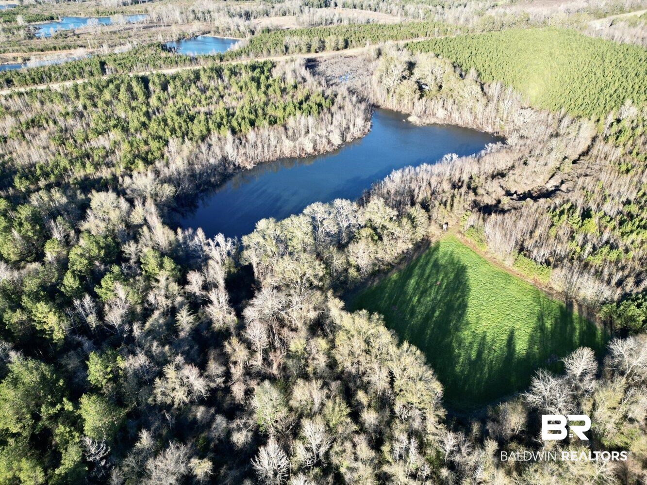 0 Highway 84 Evergreen, AL 36401 - Photo 2 of 50