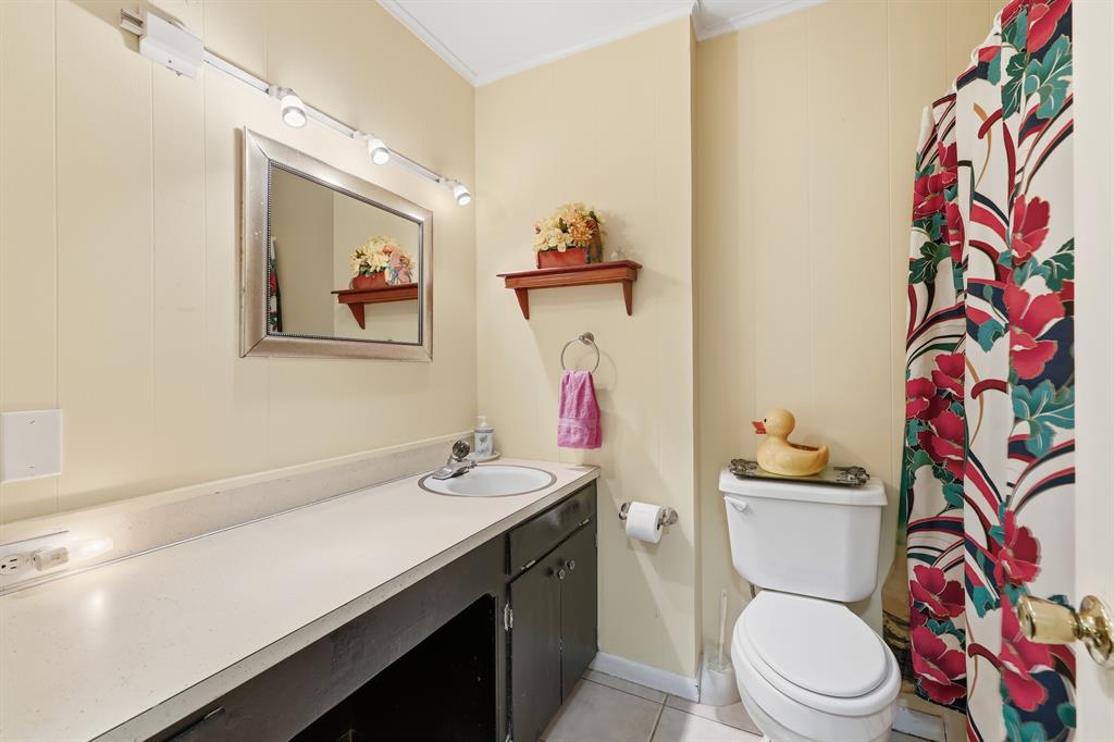 240 Fm 3421 Daingerfield, TX 75638 - Photo 14 of 27 a bathroom with a sink a toilet and shower curtain