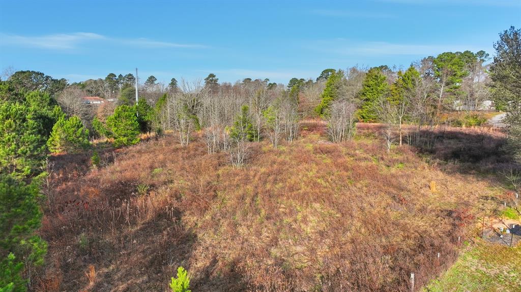 240 Fm 3421 Daingerfield, TX 75638 - Photo 25 of 27 a view of a yard with trees in front of it