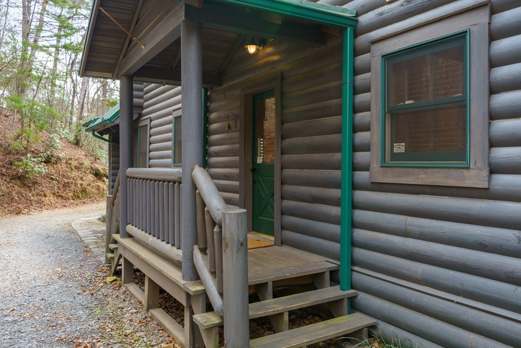 252 Branch Creek Road Blue Ridge, GA 30513 - Photo 11 of 79