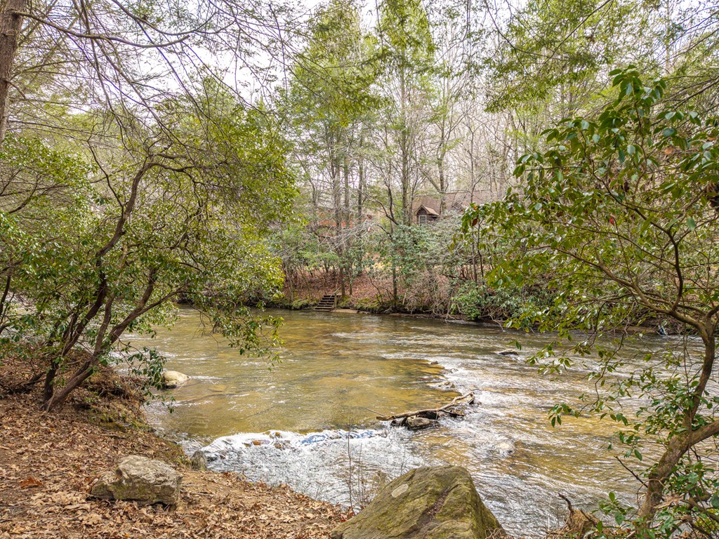 252 Branch Creek Road Blue Ridge, GA 30513 - Photo 15 of 79