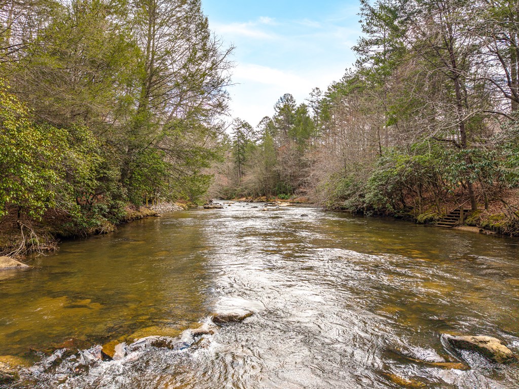 252 Branch Creek Road Blue Ridge, GA 30513 - Photo 16 of 79