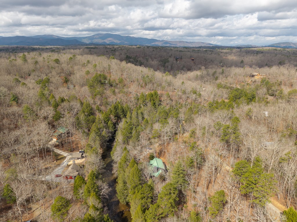 252 Branch Creek Road Blue Ridge, GA 30513 - Photo 22 of 79