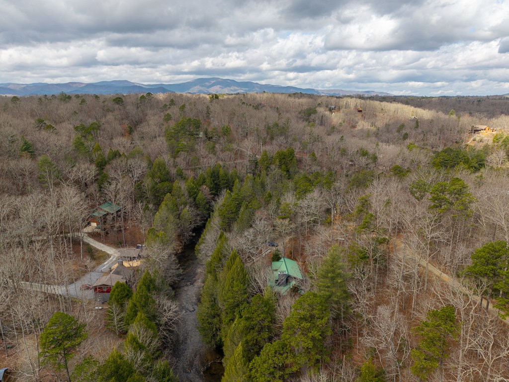 252 Branch Creek Road Blue Ridge, GA 30513 - Photo 23 of 79