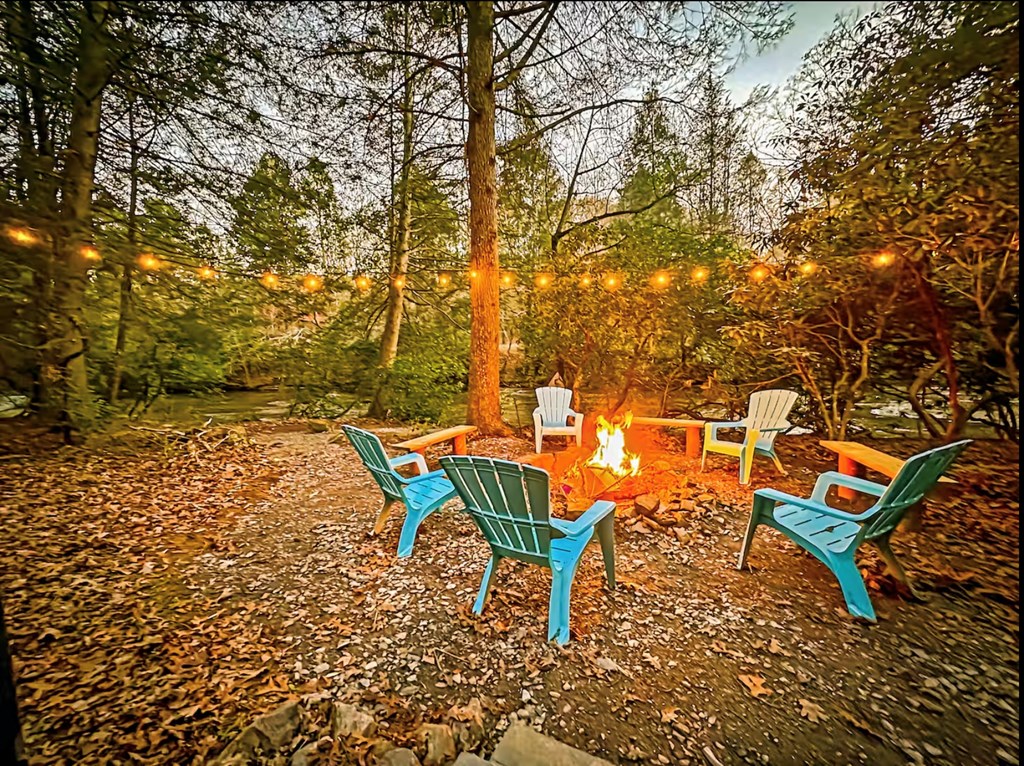 252 Branch Creek Road Blue Ridge, GA 30513 - Photo 3 of 79