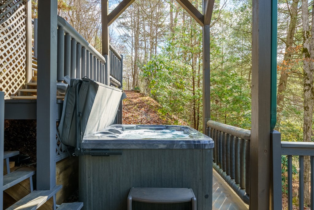 252 Branch Creek Road Blue Ridge, GA 30513 - Photo 32 of 79